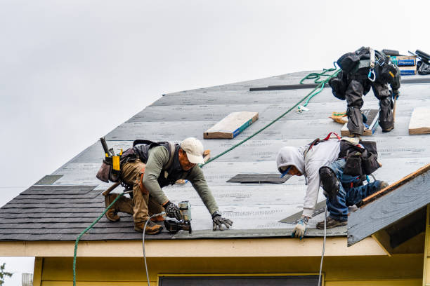 Professional Flat Roof Repair technician working in Sebastopol, MS